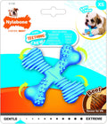 Nylabone Puppy Teething X Bone
