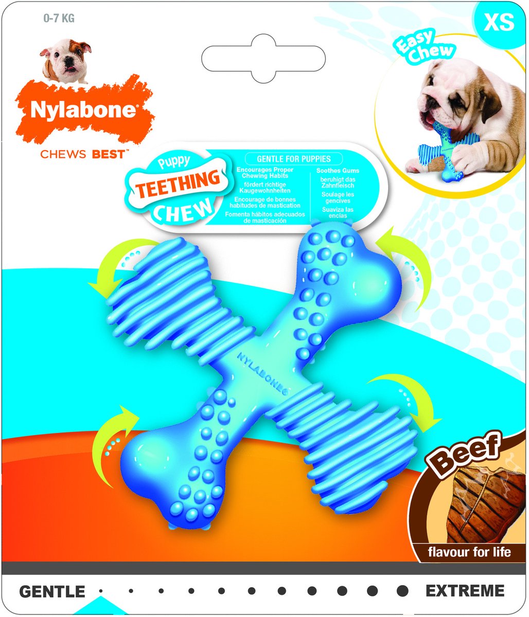 Nylabone Puppy Teething X Bone