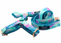 Conjunto Step-In Sky Arnés + Correa