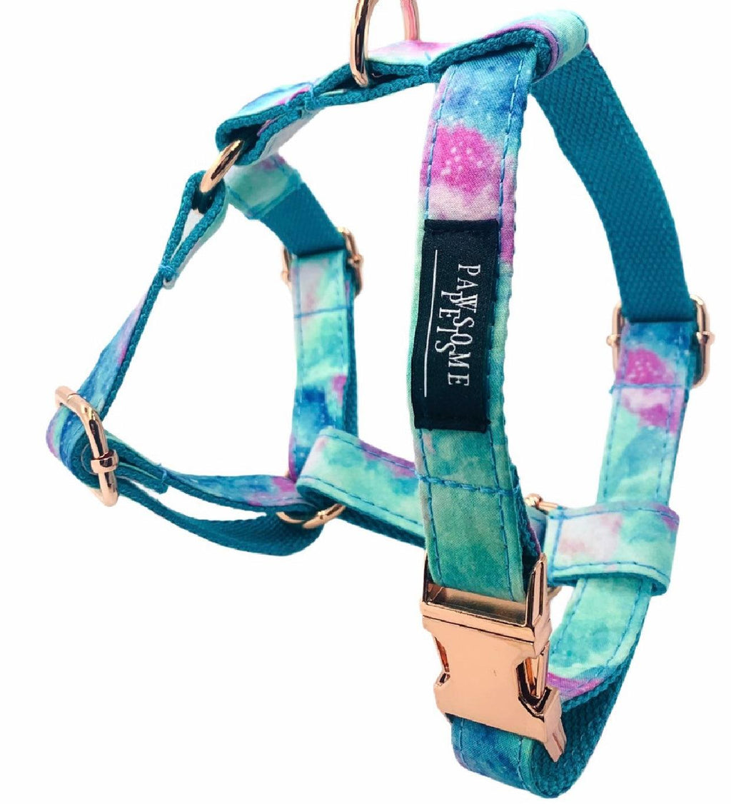 Conjunto Step-In Sky Arnés + Correa