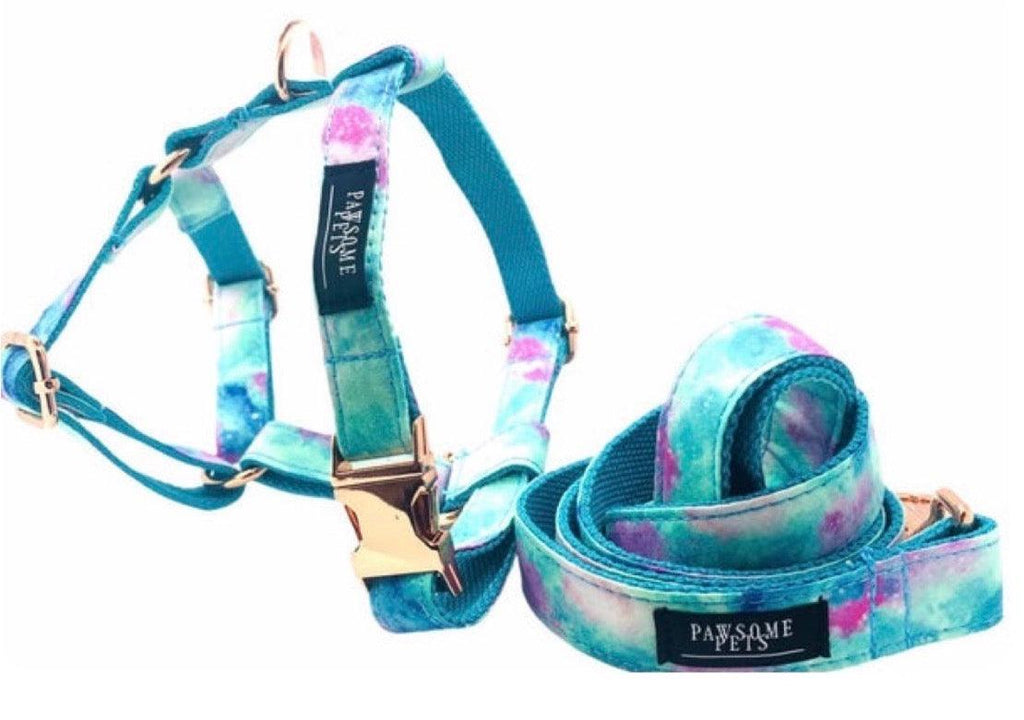 Conjunto Step-In Sky Arnés + Correa