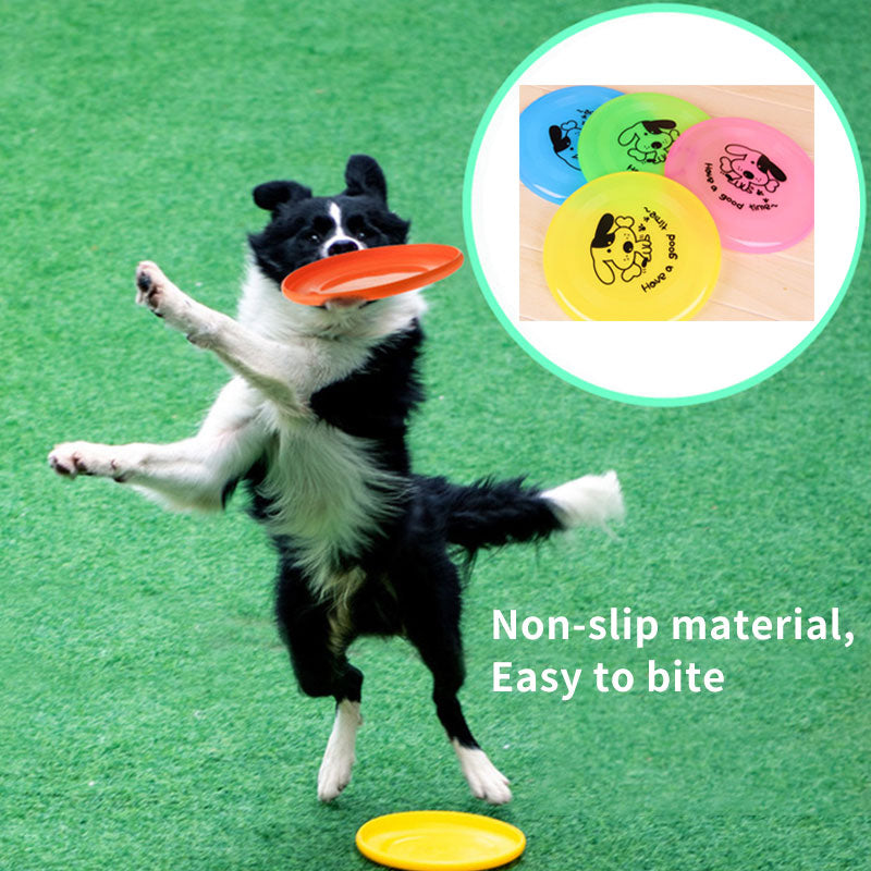 Disco Interactivo para Perros