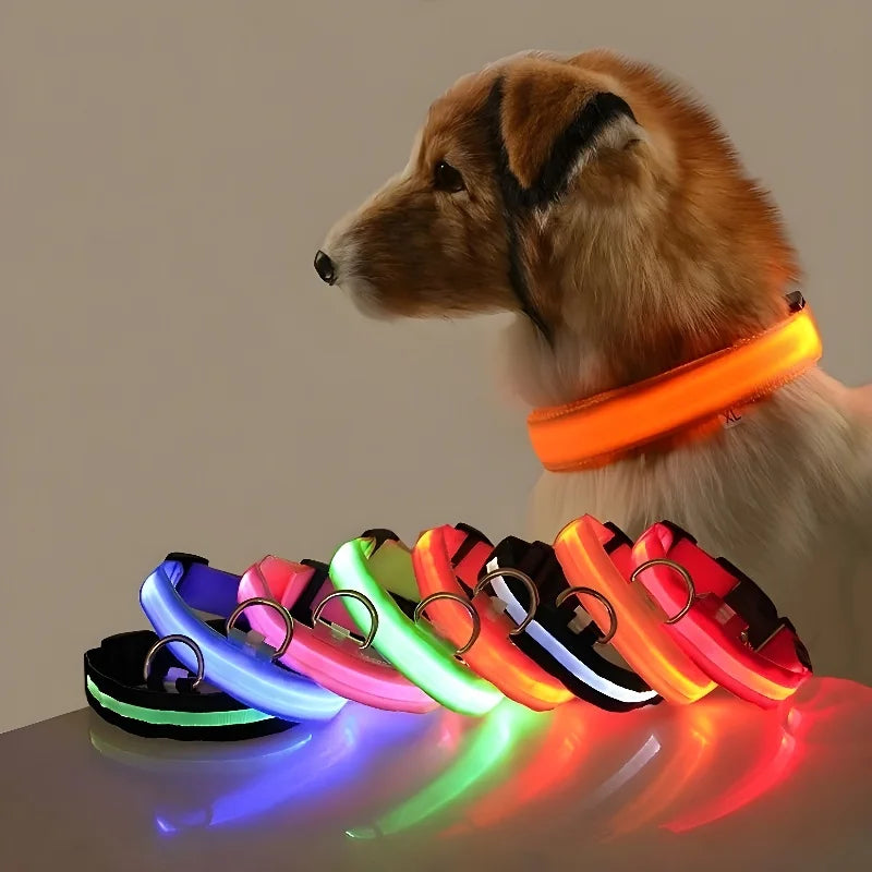 Collar LED de Nailon para Perros