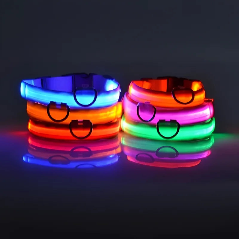 Collar LED de Nailon para Perros