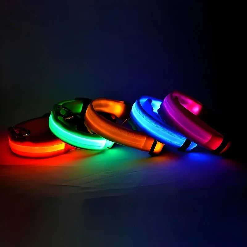 Collar LED de Nailon para Perros
