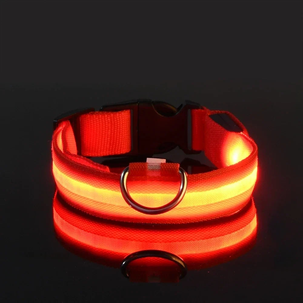 Collar LED de Nailon para Perros