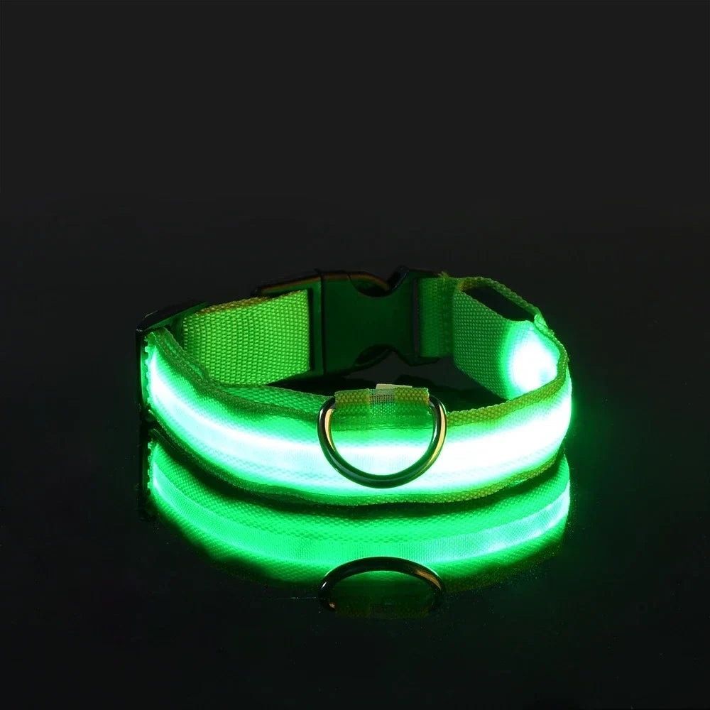 Collar LED de Nailon para Perros