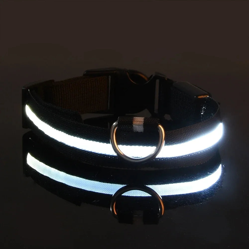 Collar LED de Nailon para Perros