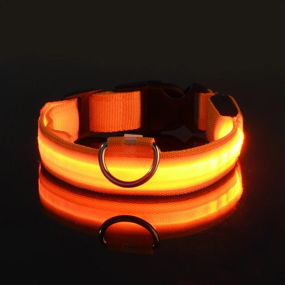 Collar LED de Nailon para Perros
