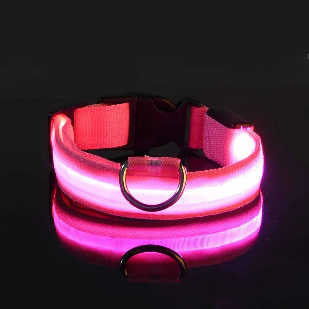 Collar LED de Nailon para Perros