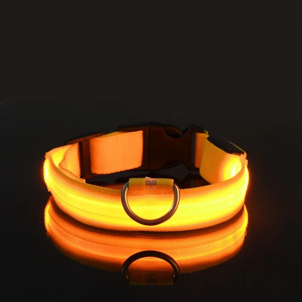Collar LED de Nailon para Perros