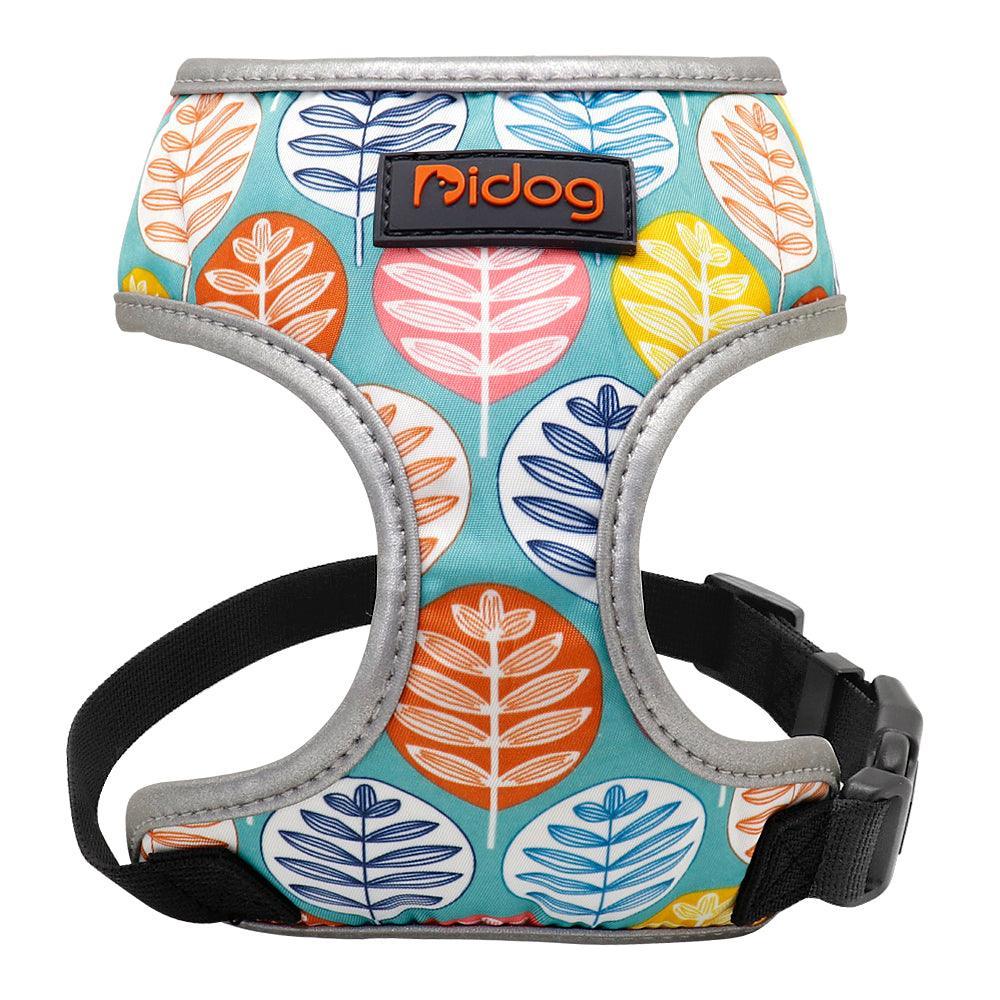 Conjunto ComfortFit Arnés + Correa