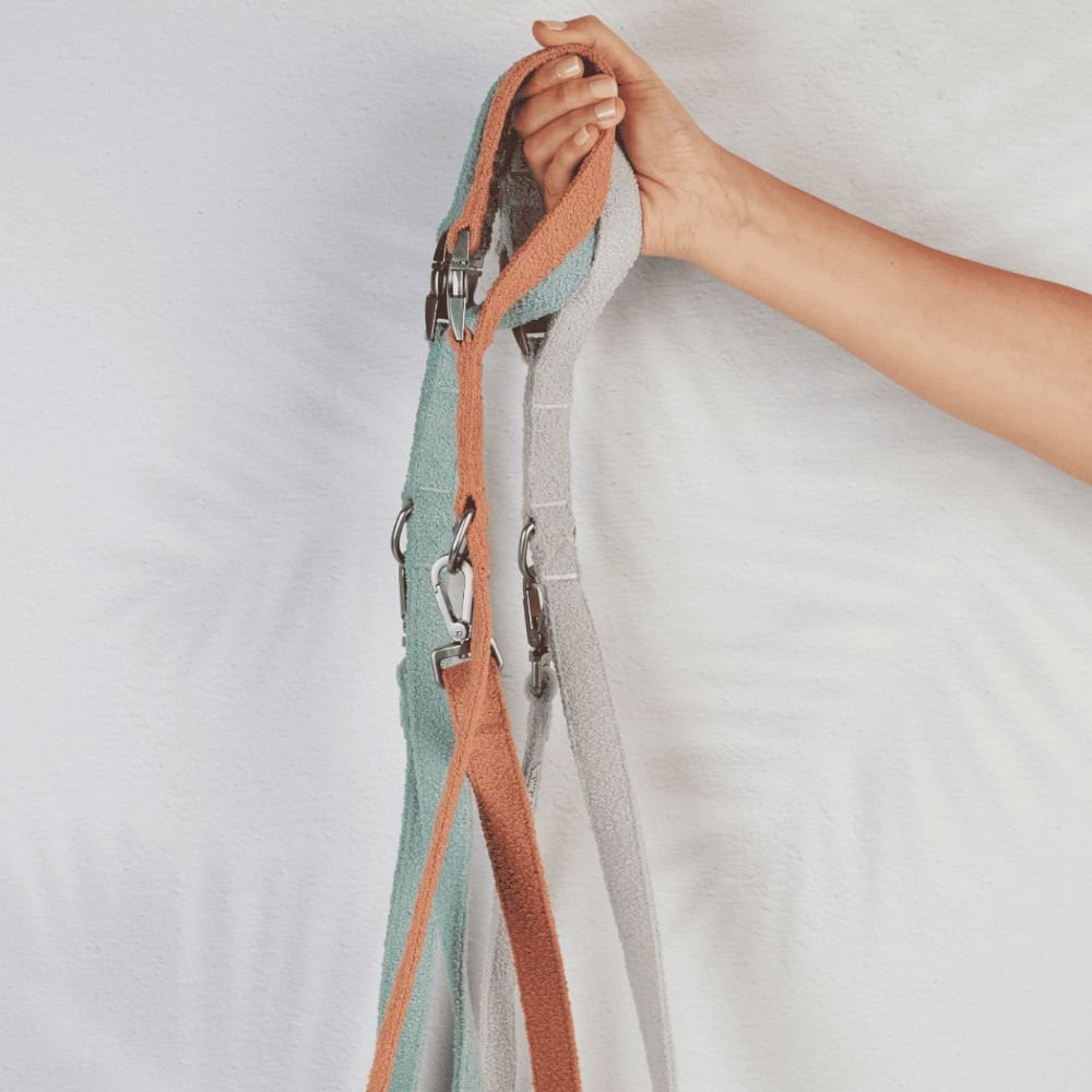 leashes