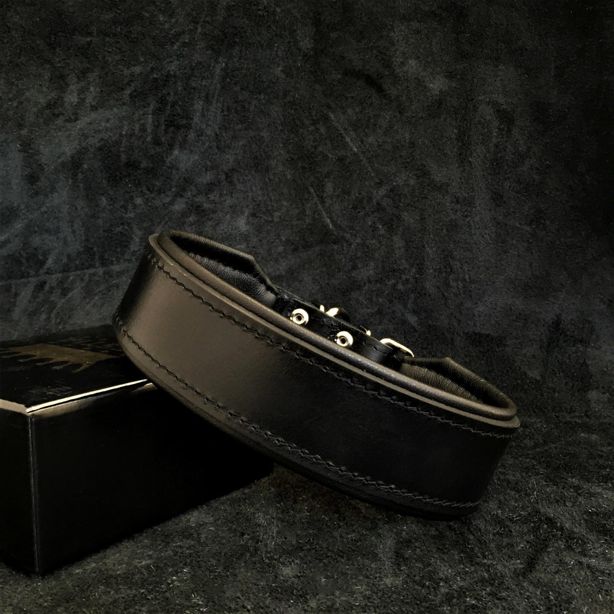 Collar Ancho Stylish de 5 cm