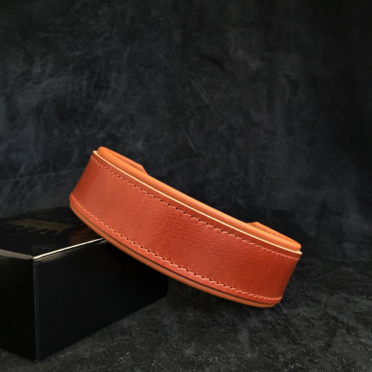 Collar Ancho Stylish de 5 cm